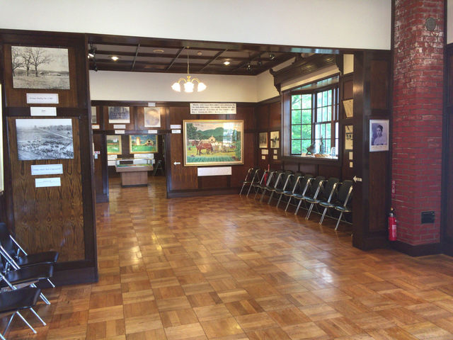 �G�h�E�B���E�_���L�O��