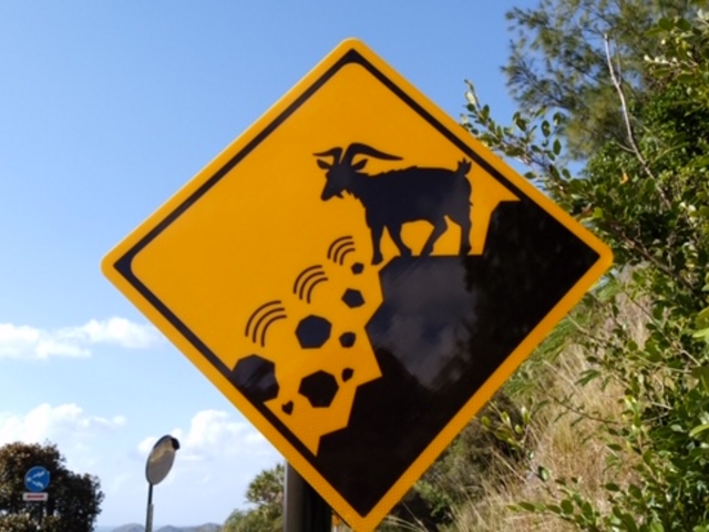 ���}���{�j�l���V�X�g���x��