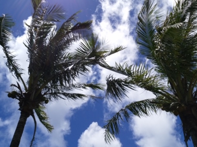 ���}���{�j�l���V�X�g���x��