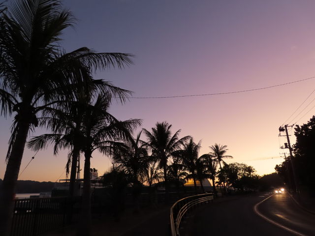 ���}���{�j�l���V�X�g���x��