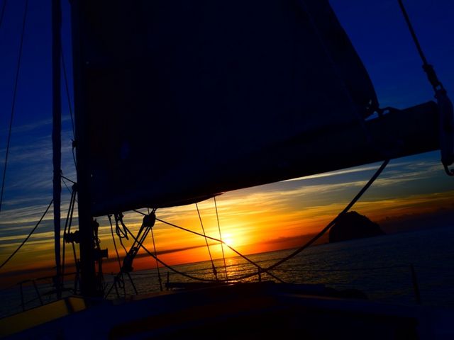 ���}���{�j�l���V�X�g���x��