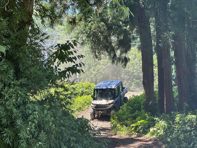 �i�X�p���K�o�M�[�N���[�W���O_Y.O.G.C