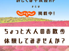 茨城の着物 浴衣レンタル 着付け体験ランキングtop10 じゃらんnet