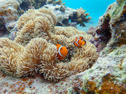 ɗǕ@CVуKCh@V[J̎ʐ^2