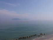 ��W�H���僉�C���̎ʐ^2