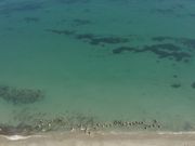 ��W�H���僉�C���̎ʐ^3