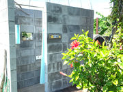 e73 Surf Lesson̎ʐ^2