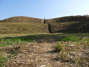 �厺�Õ��Q�̎ʐ^2