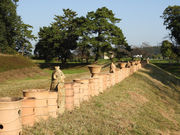 �厺�Õ��Q�̎ʐ^3