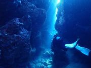 Lokahi marineclub̎ʐ^3