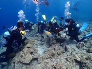 Lokahi marineclub̎ʐ^4