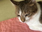 یLӂꂠnEX@ۂ̎ʐ^3