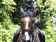 OISO　乗馬　クラブの写真3