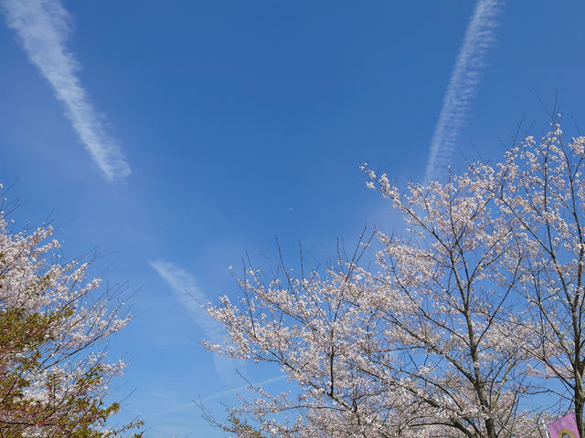 ��s�@�_�ƍ�_�������� ��������̗�