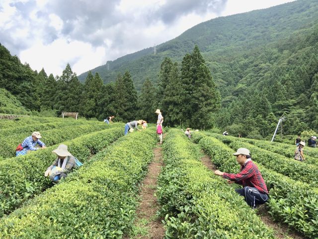 ���Ԍ���y�����E�ݑ̌��z�������݂₨���������ǂ����B�i���_�򒃔��j_�R���Ö��Ƃ����̂���