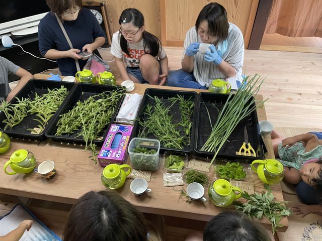 �ʔN�J�Áy�V�R���n�[�u�e�B�̌��z_�R���Ö��Ƃ����̂���