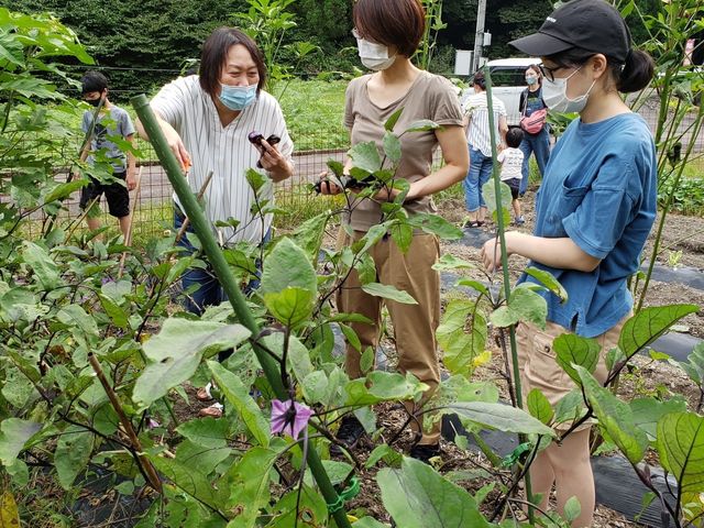 �ʔN�J�Áy�l�G�܁X�̖��_���؂̎��n�̌��z_�R���Ö��Ƃ����̂���