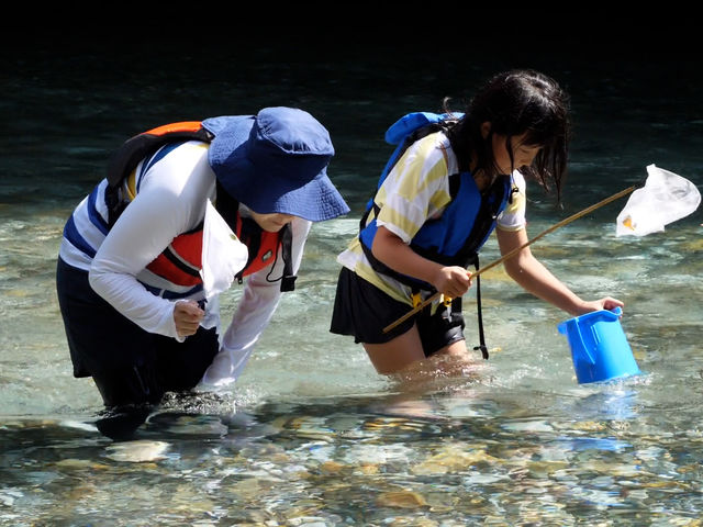 ���Ԍ���y��V�сz���V�m�{����h���R�̕ߊl_�R���Ö��Ƃ����̂���