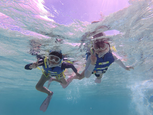 ���w���ȉ��͊����L��I�I_Cheerful �{�Ó�