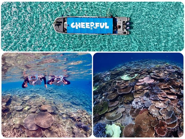 �{�Ó��̊C�̒��ł����d�����͂܂��ɁA���{�̒��ł����E�Ɍւ�C�I�I_Cheerful �{�Ó�