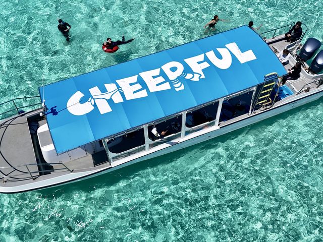 Cheerful���ő�C���ցI_Cheerful �{�Ó�