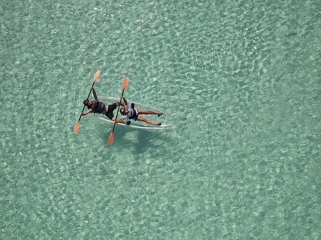 Blue Turtle Ocean Sports