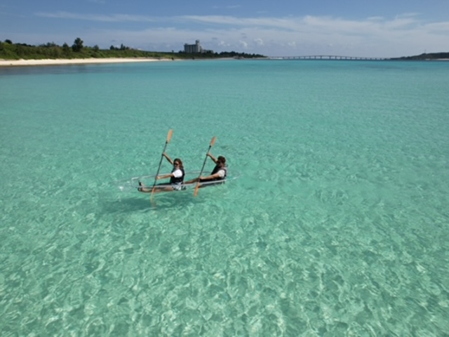 Blue Turtle Ocean Sports