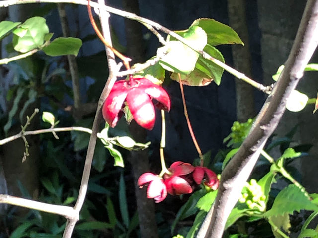 ��̃c���o�i_���|��񂲍H�[