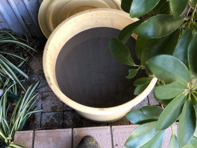 �֖�̊D_���|��񂲍H�[