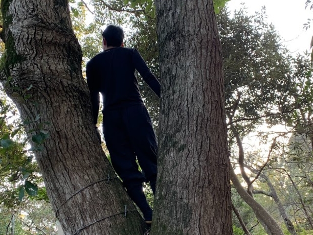 �傫�Ȗ؂��������񂠂�A�ؓo����ł��܂�_�X�̂����т�