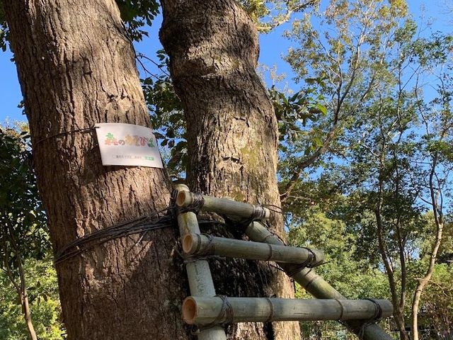 �C���X�^�f�������I_�X�̂����т�