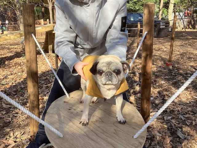 ��񂿂��̂�����̔����Ă��܂�_�X�̂����т�