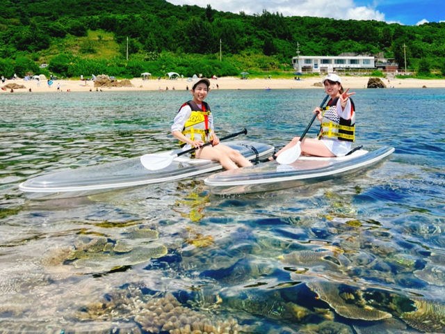 ����k���̊C�̃N���A���͊i�ʁI�I���܂ōs�����Ƃ��r�[�`���璼���T���S�ʂ��L�����Ă���S�����`���b�v�ł̓{�[�h�̏ォ��C��܂Ō��n���܂��􂨋��������������_CLEARSUP JAPAN�y75�}�����z�h���[����B�f���ʐ^�B�����!