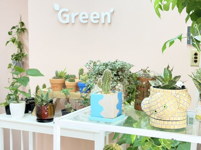 Green�̎ʐ^1