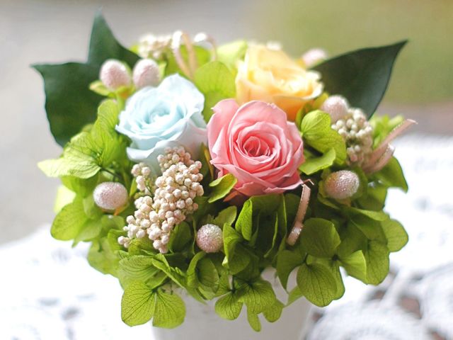 ���̌��R���|�[�g��i��_BlumenKiste-N