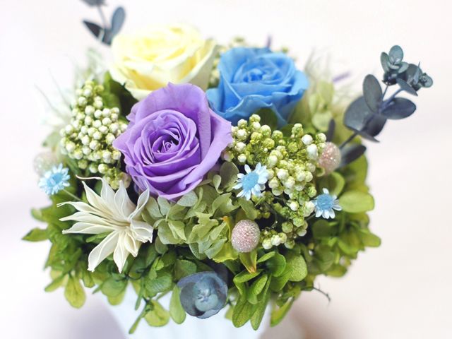 ���̌��R���|�[�g��i��_BlumenKiste-N