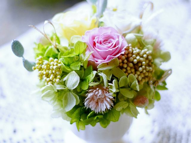 ���̌��R���|�[�g��i��_BlumenKiste-N