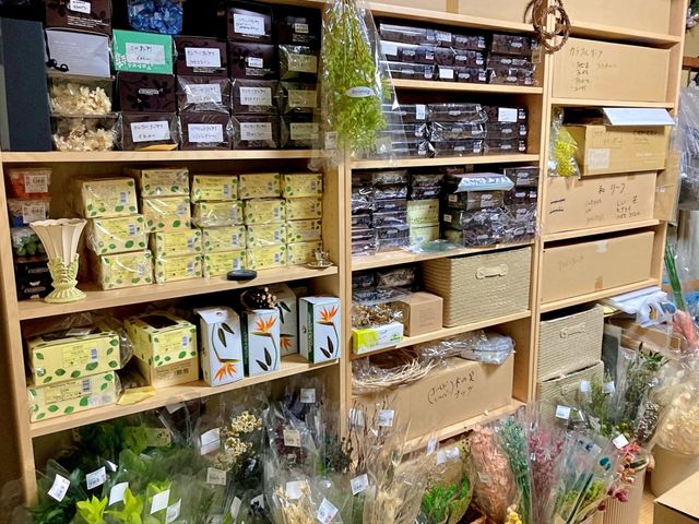 �v���U�[�u�h�t�����[�ƃh���C�t�����[_BlumenKiste-N