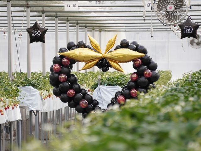 �t�H�g�X�|�b�g�̃o���[���͖��N�`�F���W�I_150����������