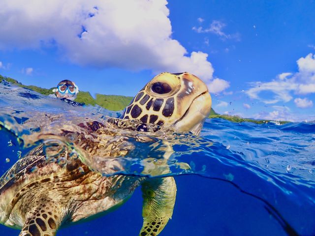 �E�~�K���Ƃ̋L�O�B�e���C������������_�^�[�R�C�Y�Ί_��