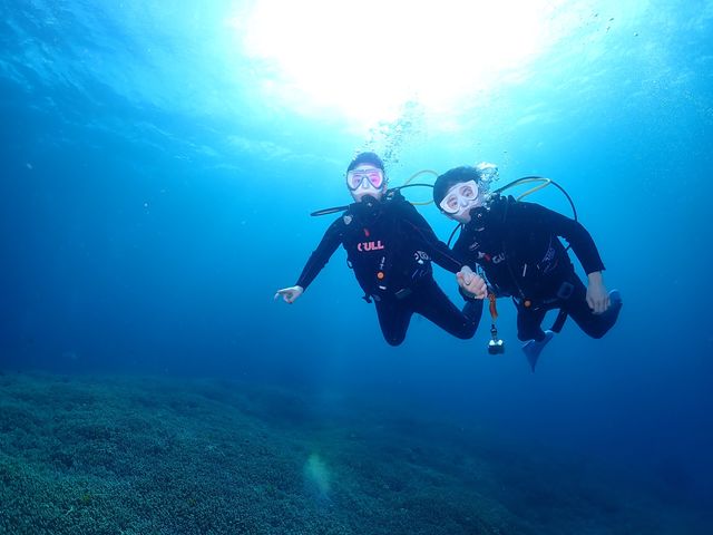 �̌��_�C�r���O�ł��R�c��͂߂΃v�J�v�J�j��������ł�݂����I_�^�[�R�C�Y�Ί_��