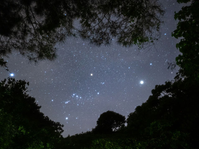 �z�^���c�A�[�I���ɂ͖��V�̐��󂪌���邱�Ƃ��I_�Ί_�� ����t�H�g�c�A�[ MONDO PIECE