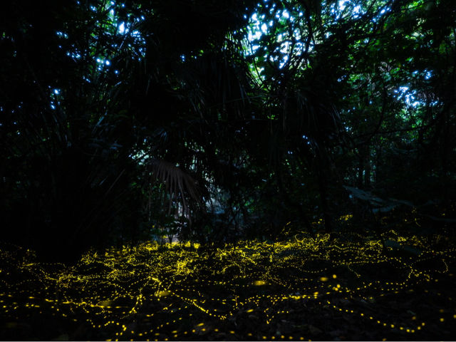 ���Ԍ���ő厩�R�̃C���~�l�[�V�����y�z�^���c�A�[�z�J�ÁI_�Ί_�� ����t�H�g�c�A�[ MONDO PIECE