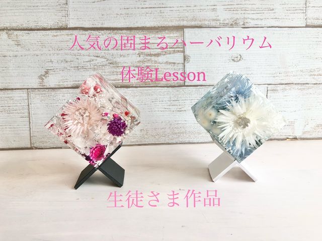 �l�C�̃N���X�^���A�[�g���E�� 
�������őI�΂ꂽ�@�h���C��v���U�[�u�h ��
���Ԃ����ς��̌ł܂�n�[�o���E���ł�_Fleur Tokko