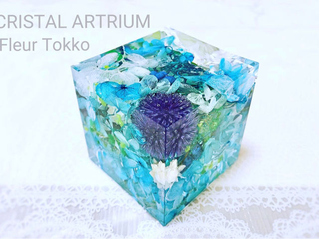 �u���[�n�̂��Ԃ����ς�
�N���X�^���A�[�g���E��_Fleur Tokko