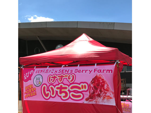 SEN's Berry Farm