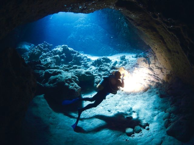 ���C�Z���X���擾���ă_�C�o�[�ɂȂ낤_EARTH-LENS