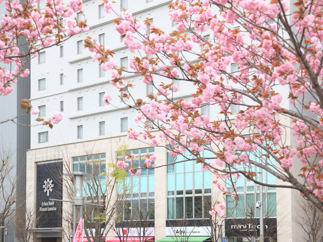 �y�A�[�o���z�e���쑐�Áz�z�e���O��_�A�[�o���z�e���쑐��