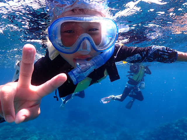 �ɗǕ��}�����c�A�[ One By One