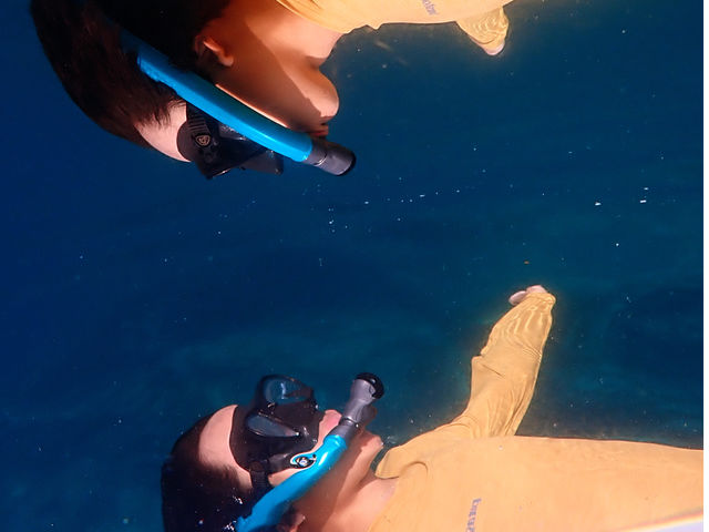 �ɗǕ��}�����c�A�[ One By One